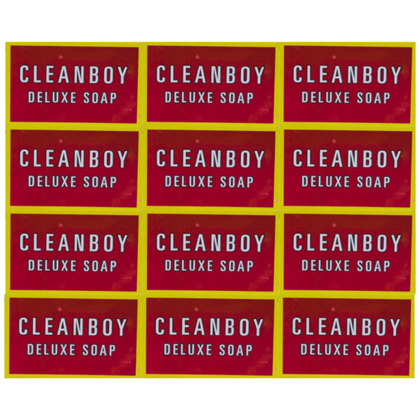 CLEANBOY DELUXE SOAP FOR CLEAR SKIN (80G) (Pack of 12)